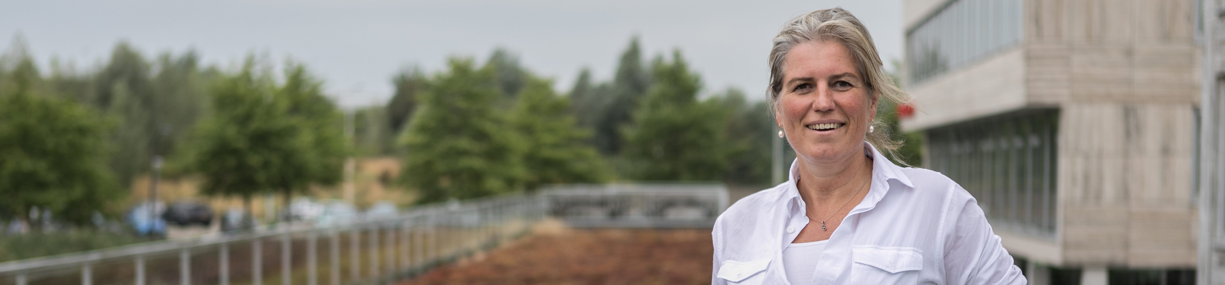 headernieuw1
